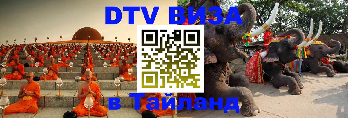 Виза ДТВ на 5 лет в Тайланд Архангельск 